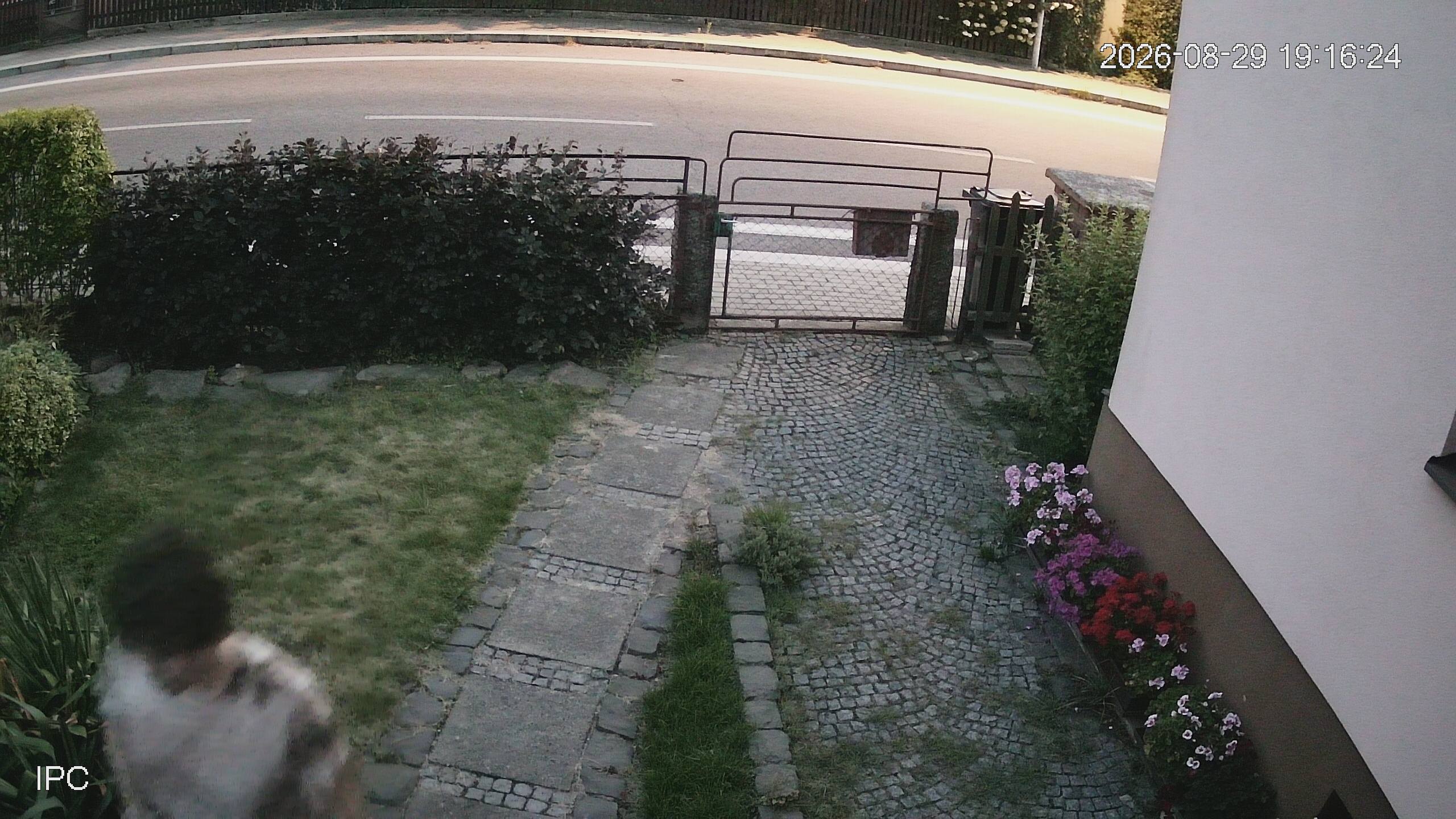 Capture